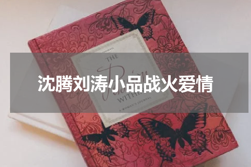 沈腾刘涛小品战火爱情