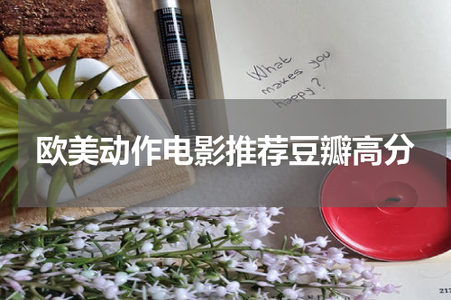 欧美动作电影推荐豆瓣高分