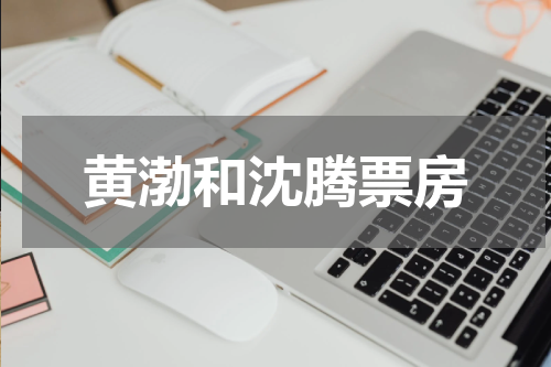 黄渤和沈腾票房