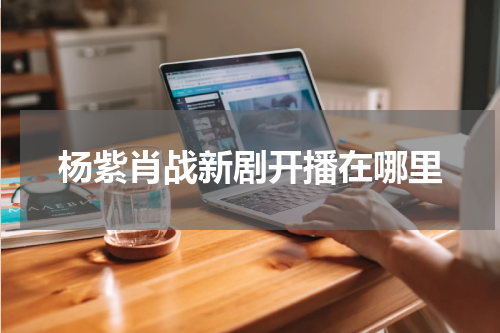 杨紫肖战新剧开播在哪里
