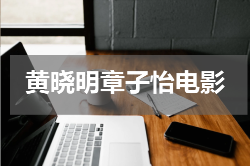 黄晓明章子怡电影