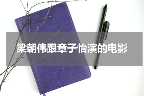 梁朝伟跟章子怡演的电影