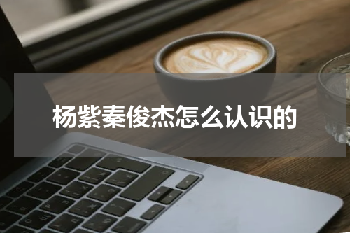 杨紫秦俊杰怎么认识的
