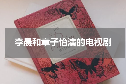 李晨和章子怡演的电视剧