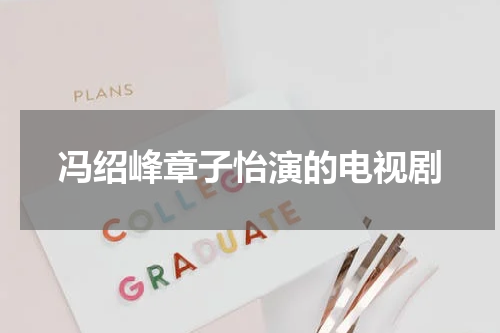 冯绍峰章子怡演的电视剧