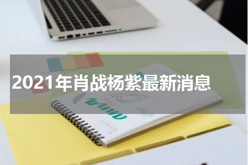 2021年肖战杨紫最新消息