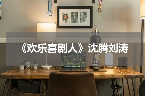 《欢乐喜剧人》沈腾刘涛