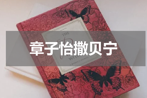 章子怡撒贝宁