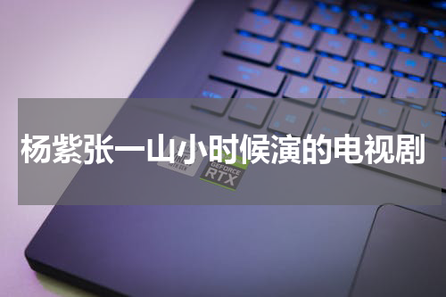 杨紫张一山小时候演的电视剧