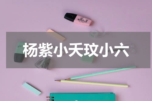 杨紫小夭玟小六