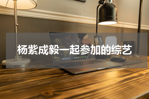 杨紫成毅一起参加的综艺