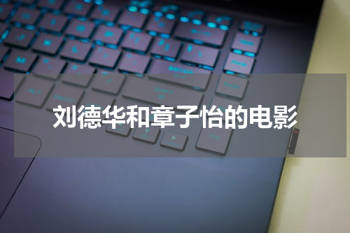 刘德华和章子怡的电影