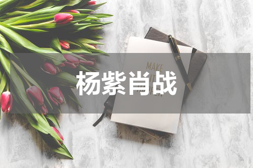 杨紫肖战
