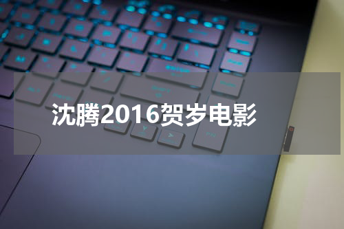 沈腾2016贺岁电影