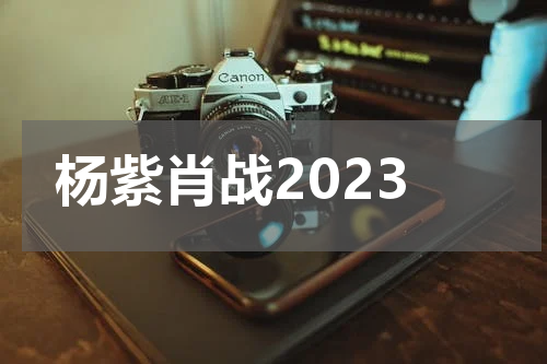 杨紫肖战2023