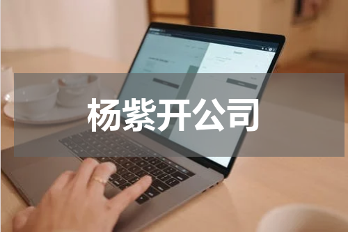 杨紫开公司