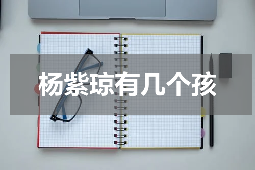 杨紫琼有几个孩