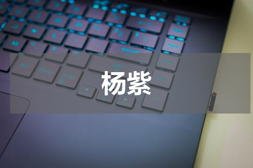 杨紫