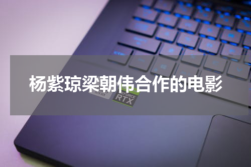 杨紫琼梁朝伟合作的电影
