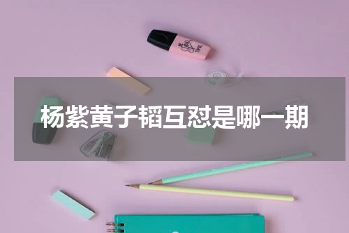 杨紫黄子韬互怼是哪一期