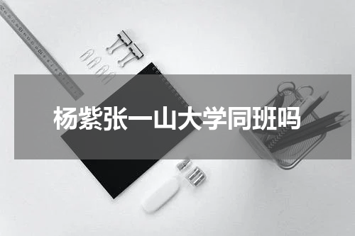 杨紫张一山大学同班吗