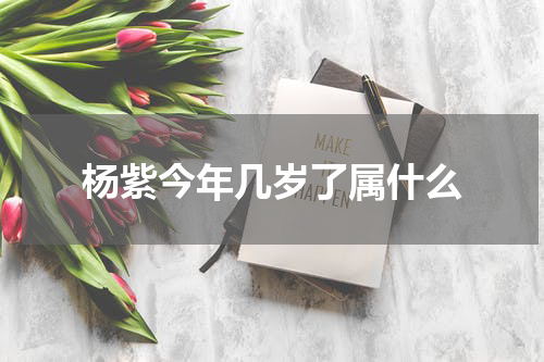 杨紫今年几岁了属什么
