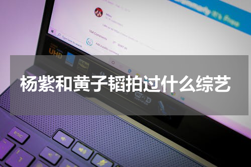 杨紫和黄子韬拍过什么综艺