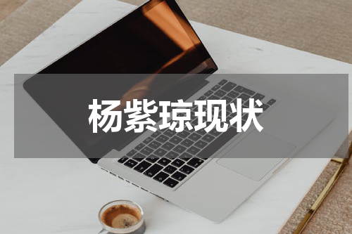 杨紫琼现状