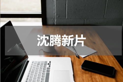 沈腾新片