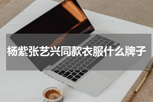 杨紫张艺兴同款衣服什么牌子