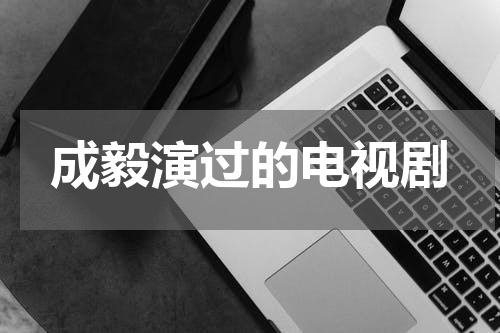 成毅演过的电视剧