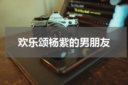 欢乐颂杨紫的男朋友