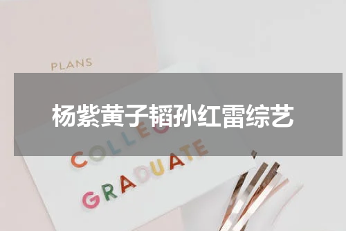 杨紫黄子韬孙红雷综艺