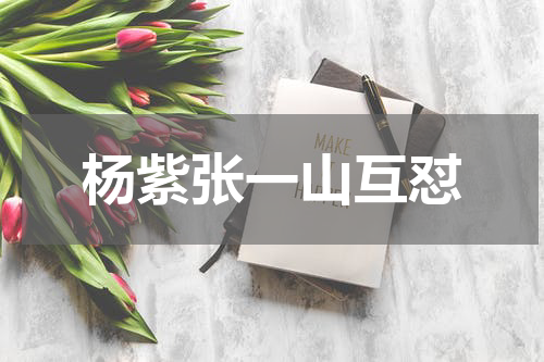 杨紫张一山互怼