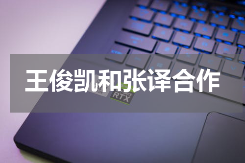 王俊凯和张译合作