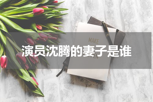 演员沈腾的妻子是谁