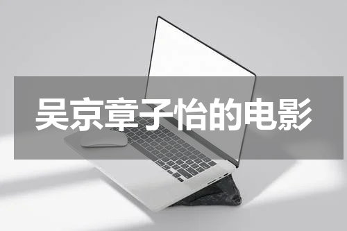 吴京章子怡的电影