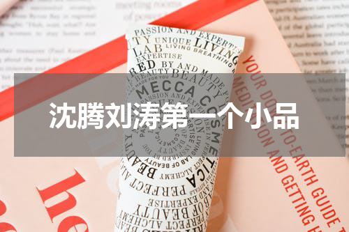 沈腾刘涛第一个小品