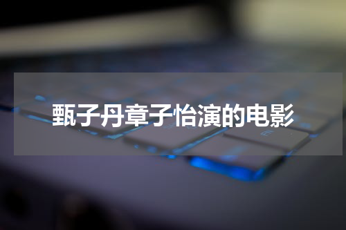 甄子丹章子怡演的电影