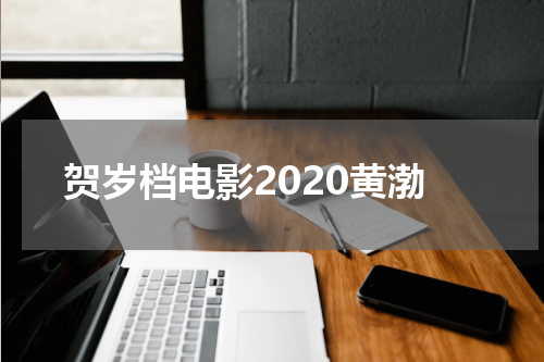 贺岁档电影2020黄渤