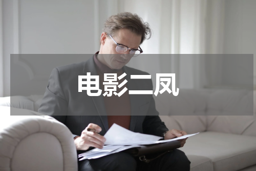 电影二凤