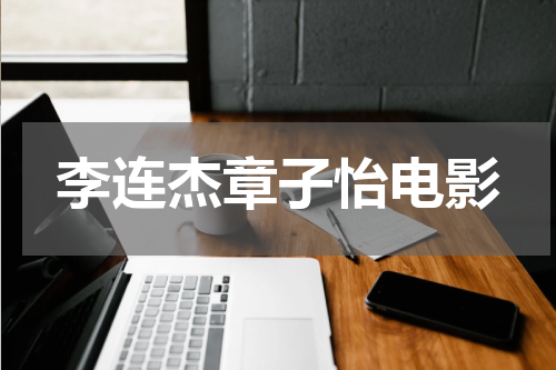 李连杰章子怡电影