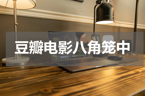 豆瓣电影八角笼中