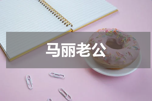 马丽老公
