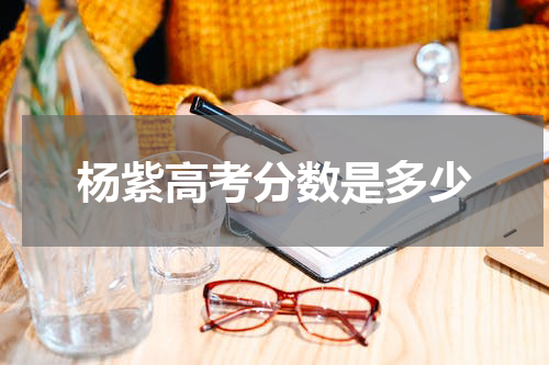 杨紫高考分数是多少