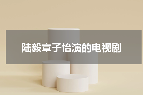 陆毅章子怡演的电视剧