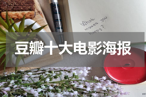 豆瓣十大电影海报