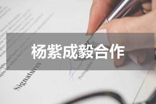 杨紫成毅合作