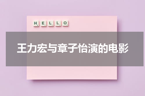 王力宏与章子怡演的电影