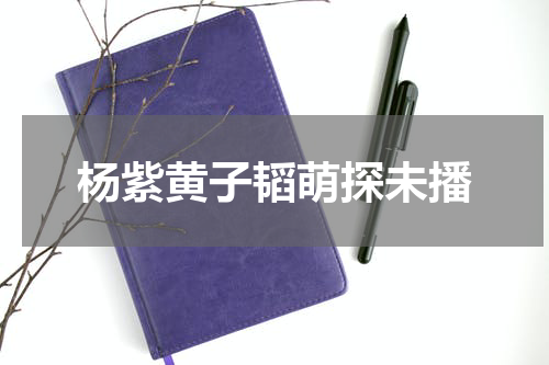 杨紫黄子韬萌探未播